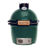 big green egg mini